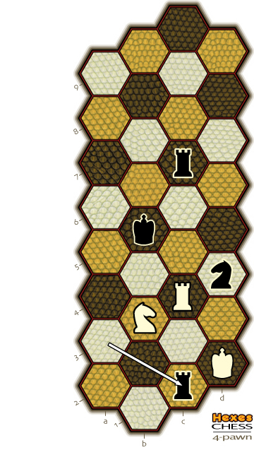 rook puts king in check