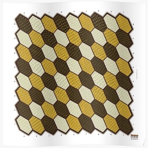 Hexes 9-pawn chess board printed on poster paper